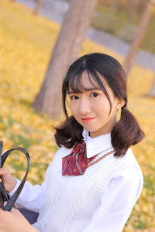 麻花视频在线观看电视剧锦镖人